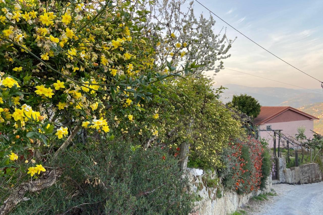 Alojamento Da Ribeirinha Carquere Exteriér fotografie
