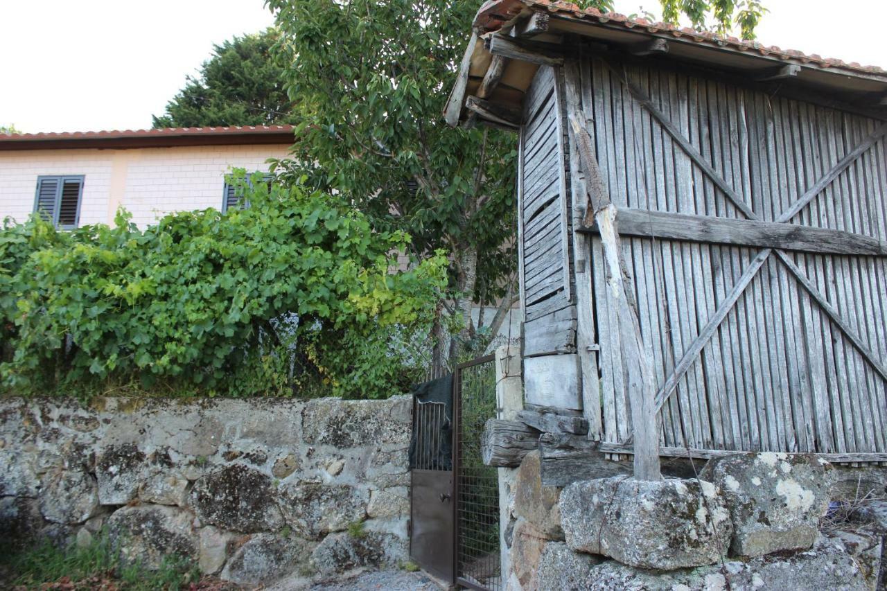 Alojamento Da Ribeirinha Carquere Exteriér fotografie